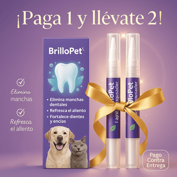 BrilloPet - Lápiz Blanqueador de Dientes