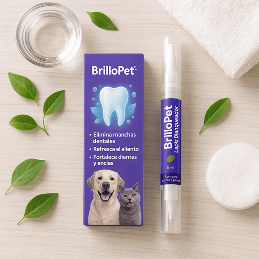 BrilloPet - Lápiz Blanqueador de Dientes